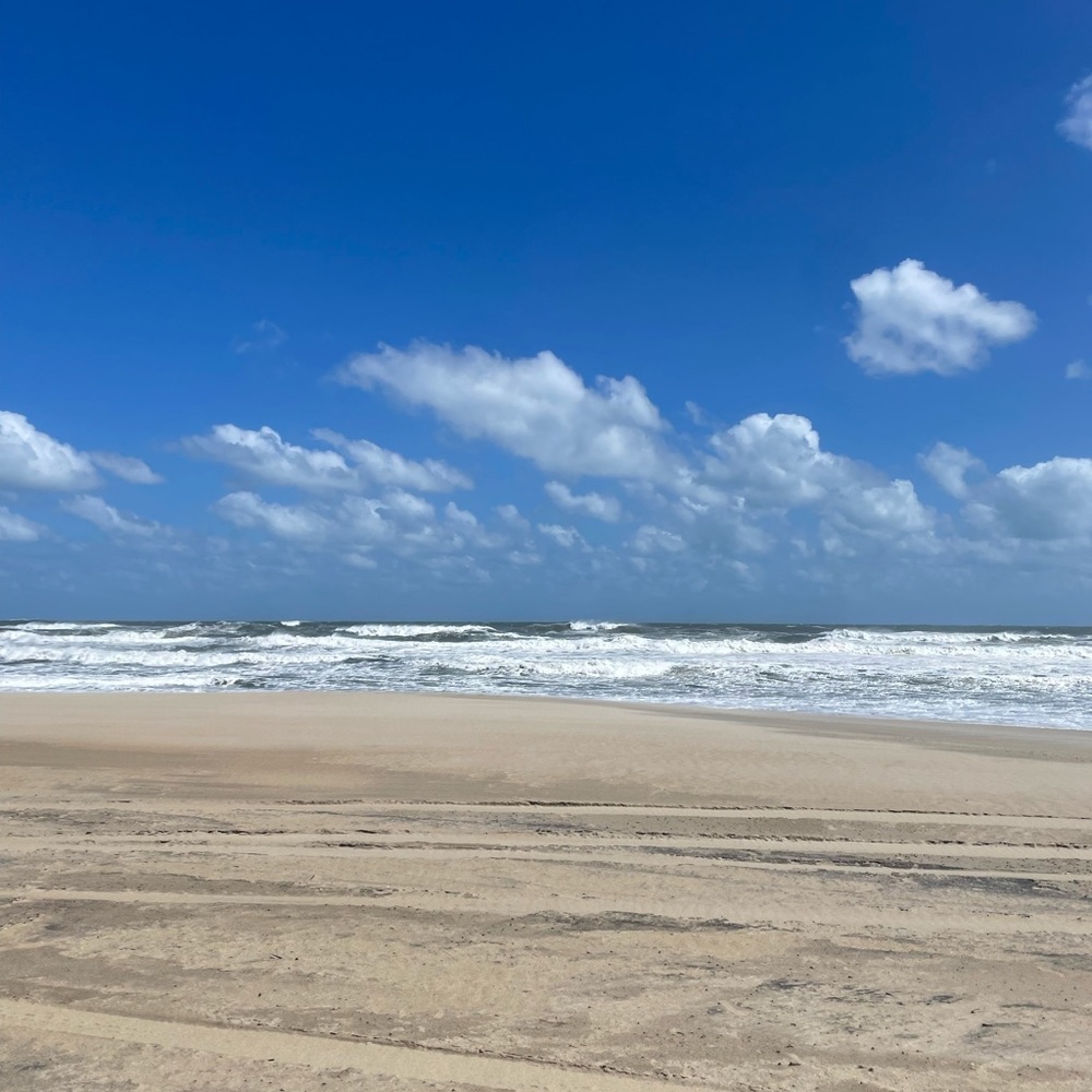 ❤️ THIS TO KNOW WHEN I GO LIVE